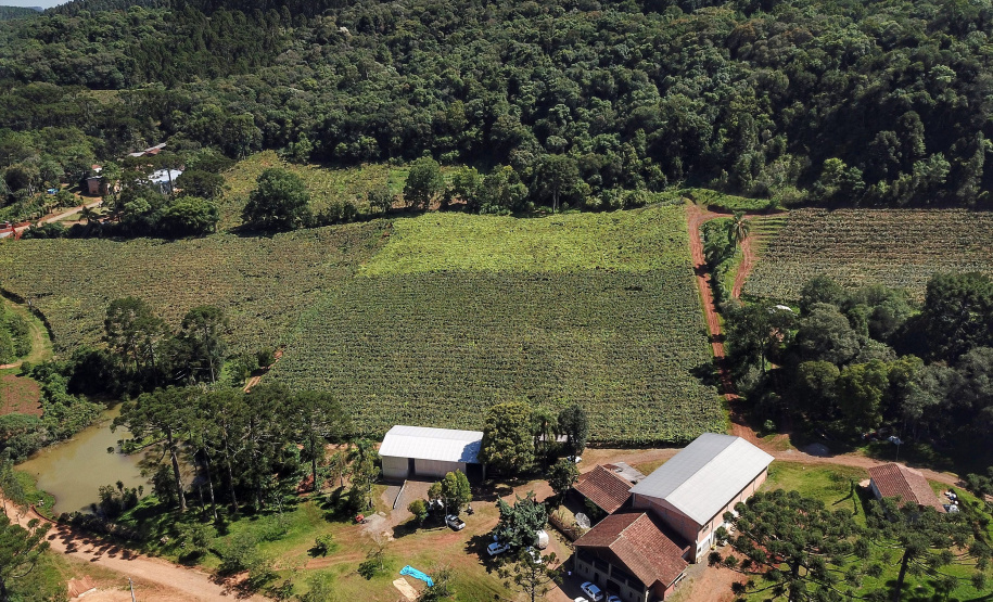 Vinícola Di Sandi. Bituruna. 02-2021