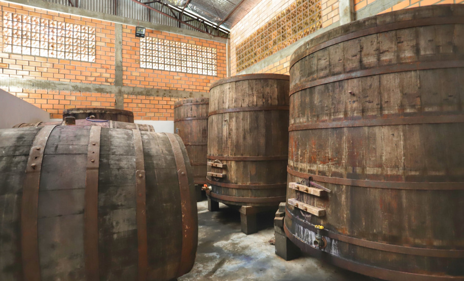 Vinícola Di Sandi. Bituruna. 02-2021