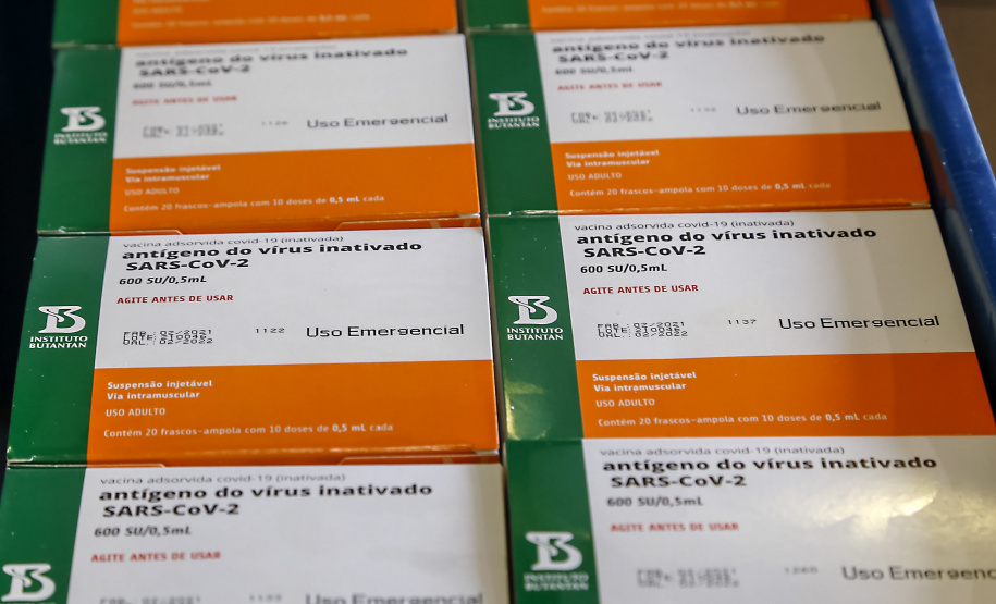 Paraná recebe mais 146,8 mil doses de vacinas contra Covid-19. O novo lote é da CovonaVac, desenvolvida pela Sinovac em parceria com o Instituto Butantan, e faz parte de uma nova remessa de 1,9 milhão de doses encaminhadas pela entidade paulista ao governo federal. - Curitiba, 03/02/2021  -  Foto: Gilson Abreu/AEN