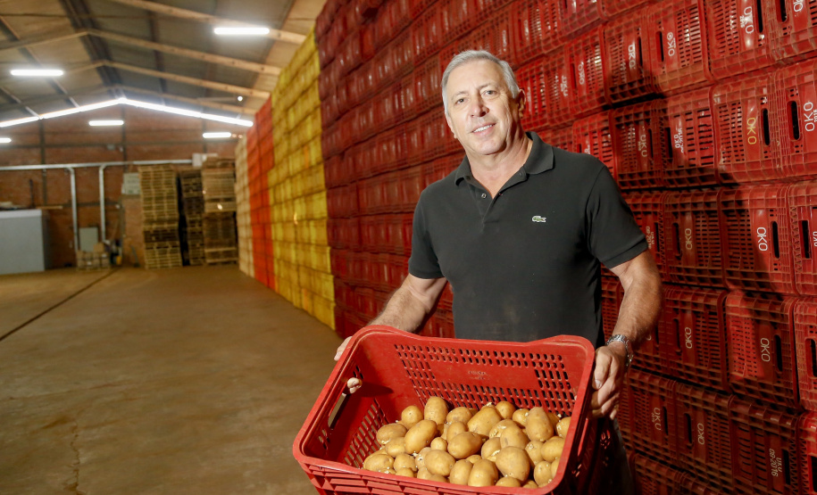 02/03 - produção e processo da batata. Na foto, o produtor rural e empresário Osmar Kloster de Oliveira  -  Foto: Gilson Abreu/AEN