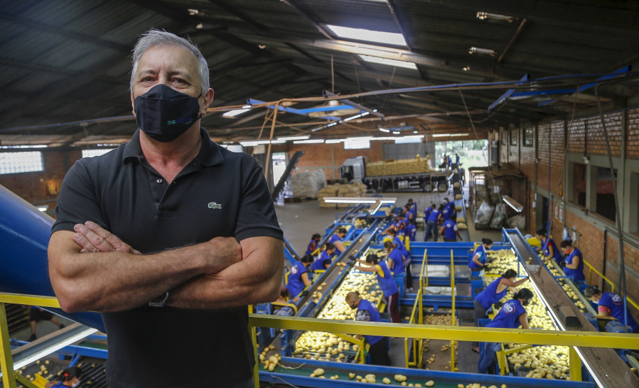 02/03 - produção e processo da batata.Foto: Gilson Abreu/AEN