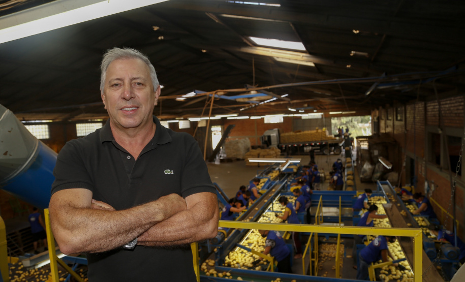 02/03 - produção e processo da batata. Na foto, o produtor rural e empresário Osmar Kloster de Oliveira  -  Foto: Gilson Abreu/AEN