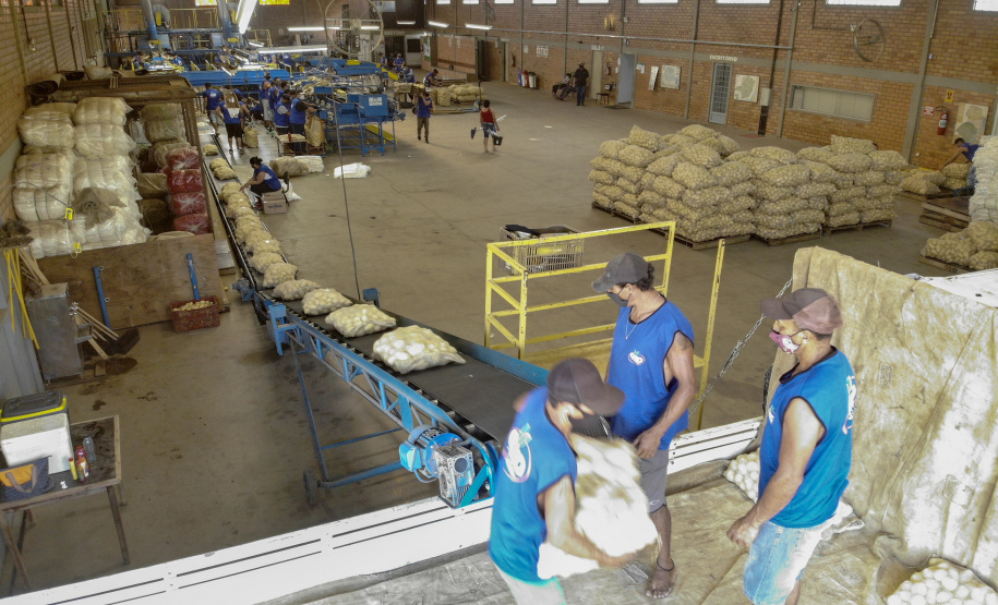02/03 - produção e processo da batata.Foto: Gilson Abreu/AEN