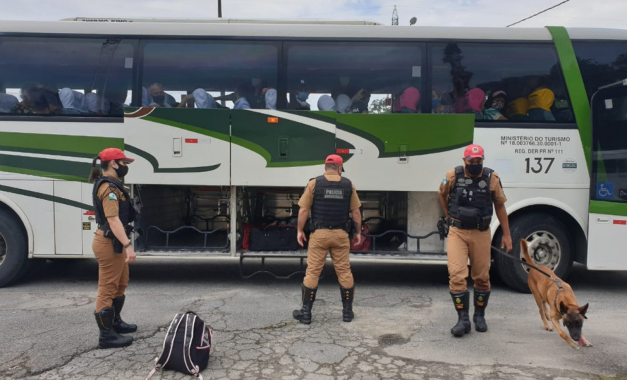 Os cães da Polícia Militar têm sido importantes aliados no processo de apreensão de drogas. Durante a Operação Verão Consciente, os cães Hórus e Argos foram destaque no auxílio aos policiais na apreensão de entorpecentes. - Foto: Divulgação PMPR