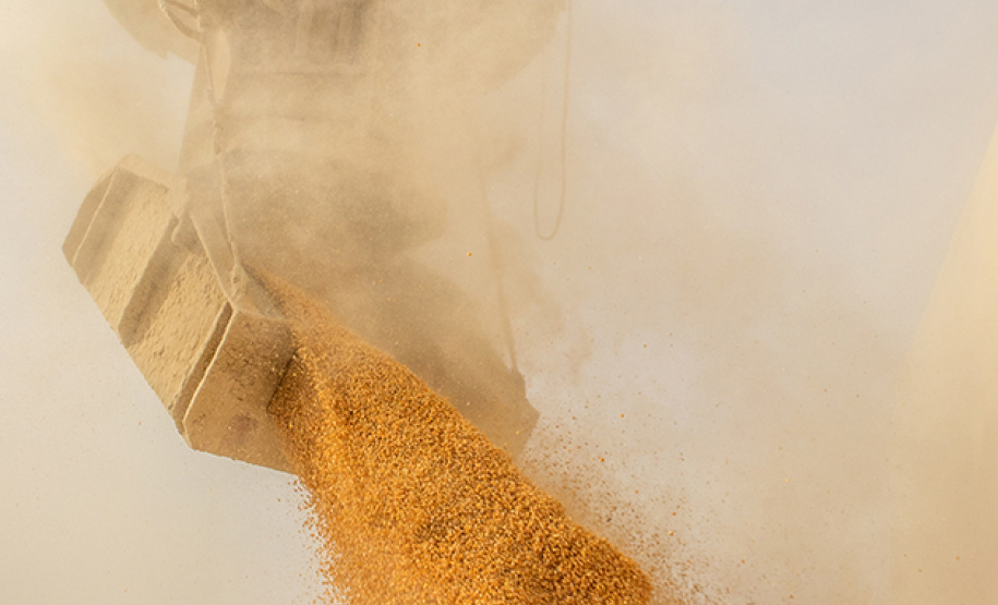 MILHO A GRANEL - Foto: Claudio Neves/Portos do Paraná