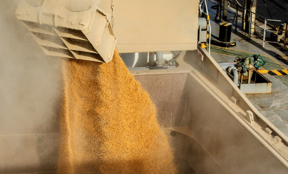 MILHO A GRANEL - Foto: Claudio Neves/Portos do Paraná