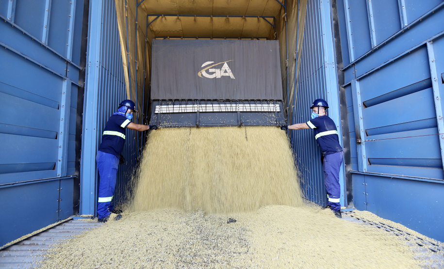SOJA - Nas últimas duas semanas de fevereiro a soja começou a chegar em maior volume e a expectativa é que os embarques sigam ritmo intenso ao longo do ano. - Paranaguá, 09/03/2021 - Foto: Claudio Neves/Portos do Paraná