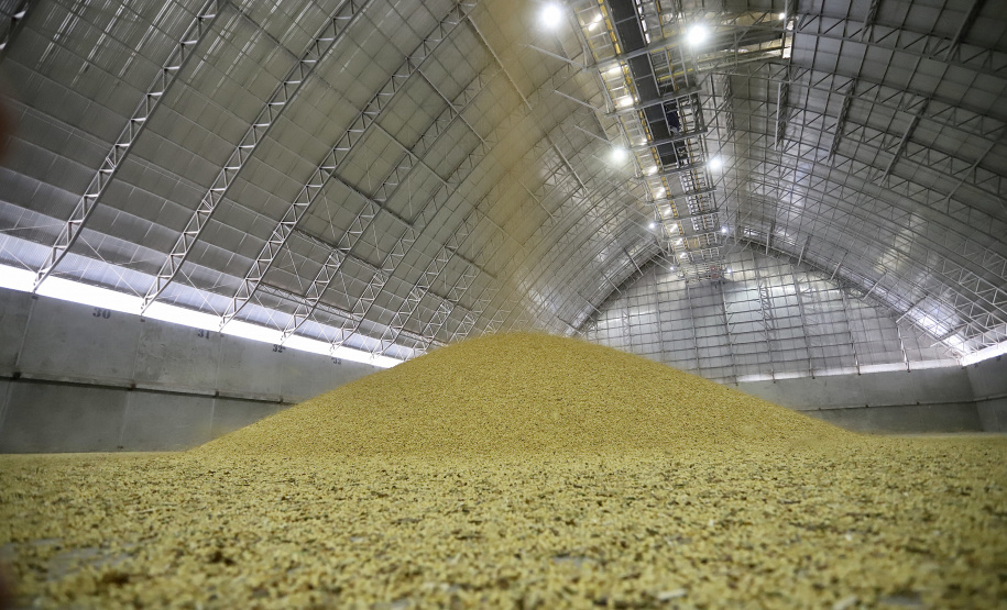 SOJA - Nas últimas duas semanas de fevereiro a soja começou a chegar em maior volume e a expectativa é que os embarques sigam ritmo intenso ao longo do ano. - Paranaguá, 09/03/2021 - Foto: Claudio Neves/Portos do Paraná