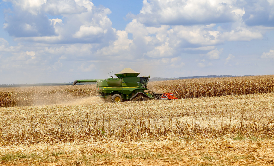 O setor agropecuário foi um dos únicos com crescimento no ano passado, com previsão de que continue em alta em 2021. No entanto, as condições climáticas podem reduzir a produção, sobretudo de milho, colocando em risco o abastecimento desse cereal e a cadeia produtiva que dele depende. Foto: Gilson Abreu/AEN