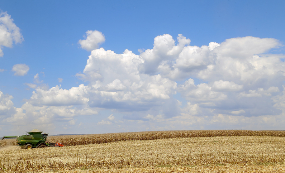O setor agropecuário foi um dos únicos com crescimento no ano passado, com previsão de que continue em alta em 2021. No entanto, as condições climáticas podem reduzir a produção, sobretudo de milho, colocando em risco o abastecimento desse cereal e a cadeia produtiva que dele depende. Foto: Gilson Abreu/AEN