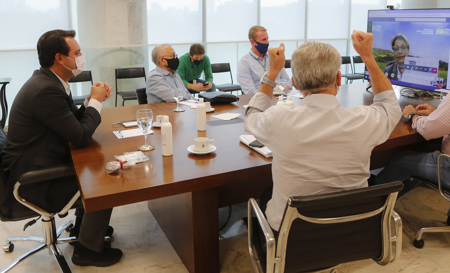 O Paraná recebeu nesta semana o parecer favorável do comitê técnico da Organização Mundial de Saúde Animal (OIE) e deu mais um passo para o reconhecimento internacional como área livre de febre aftosa sem vacinação. O anúncio foi feito nesta quarta-feira (10) pela ministra da Agricultura, Pecuária e Abastecimento, Tereza Cristina, em audiência virtual com o governador Carlos Massa Ratinho Junior.
Foto: Jonathan Campos/AEN