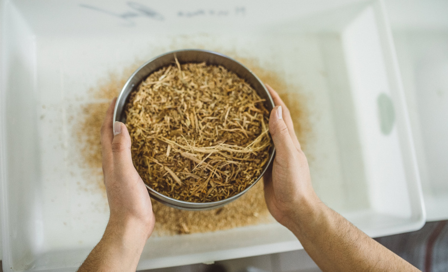 Pesquisadores da Universidade Tecnológica Federal do Paraná desenvolveram um material produzido a partir do crescimento de fungos em resíduos da agroindústria que pode substituir plásticos, poliestireno expandido e outros materiais danosos ao meio ambiente utilizados na indústria de embalagens e na construção civil. Foto: Fundação Araucária