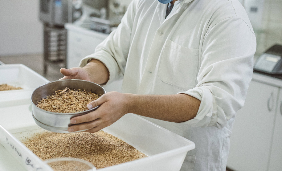 Pesquisadores da Universidade Tecnológica Federal do Paraná desenvolveram um material produzido a partir do crescimento de fungos em resíduos da agroindústria que pode substituir plásticos, poliestireno expandido e outros materiais danosos ao meio ambiente utilizados na indústria de embalagens e na construção civil. Foto: Fundação Araucária