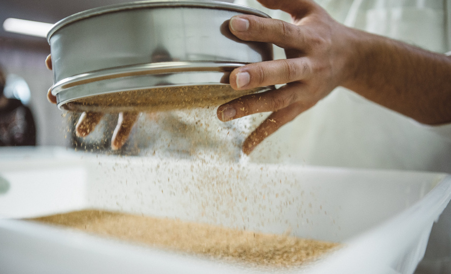 Pesquisadores da Universidade Tecnológica Federal do Paraná desenvolveram um material produzido a partir do crescimento de fungos em resíduos da agroindústria que pode substituir plásticos, poliestireno expandido e outros materiais danosos ao meio ambiente utilizados na indústria de embalagens e na construção civil. Foto: Fundação Araucária