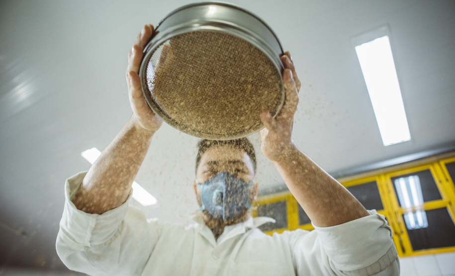 Pesquisadores da Universidade Tecnológica Federal do Paraná desenvolveram um material produzido a partir do crescimento de fungos em resíduos da agroindústria que pode substituir plásticos, poliestireno expandido e outros materiais danosos ao meio ambiente utilizados na indústria de embalagens e na construção civil. Foto: Fundação Araucária