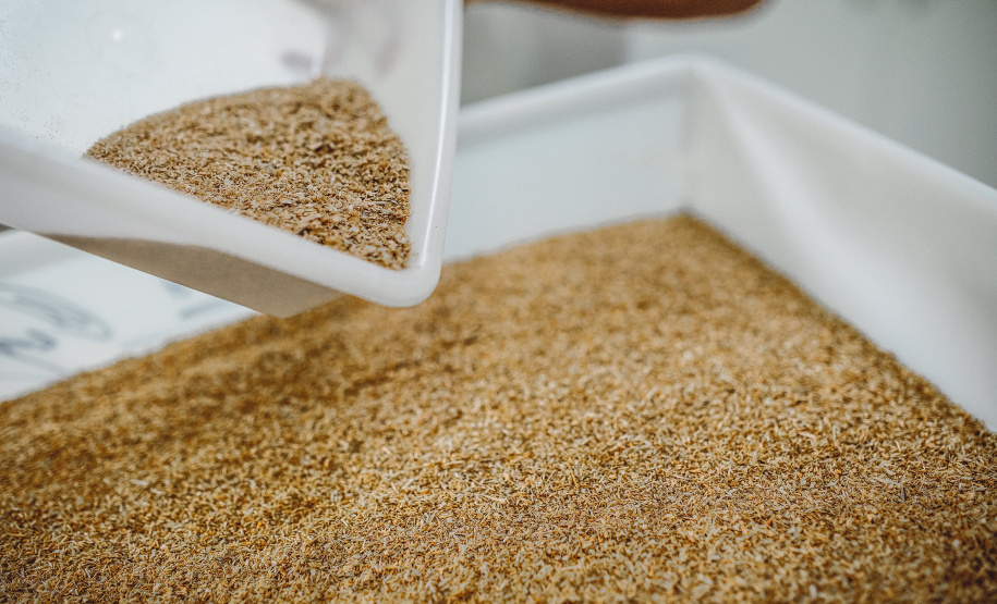 Pesquisadores da Universidade Tecnológica Federal do Paraná desenvolveram um material produzido a partir do crescimento de fungos em resíduos da agroindústria que pode substituir plásticos, poliestireno expandido e outros materiais danosos ao meio ambiente utilizados na indústria de embalagens e na construção civil. Foto: Fundação Araucária