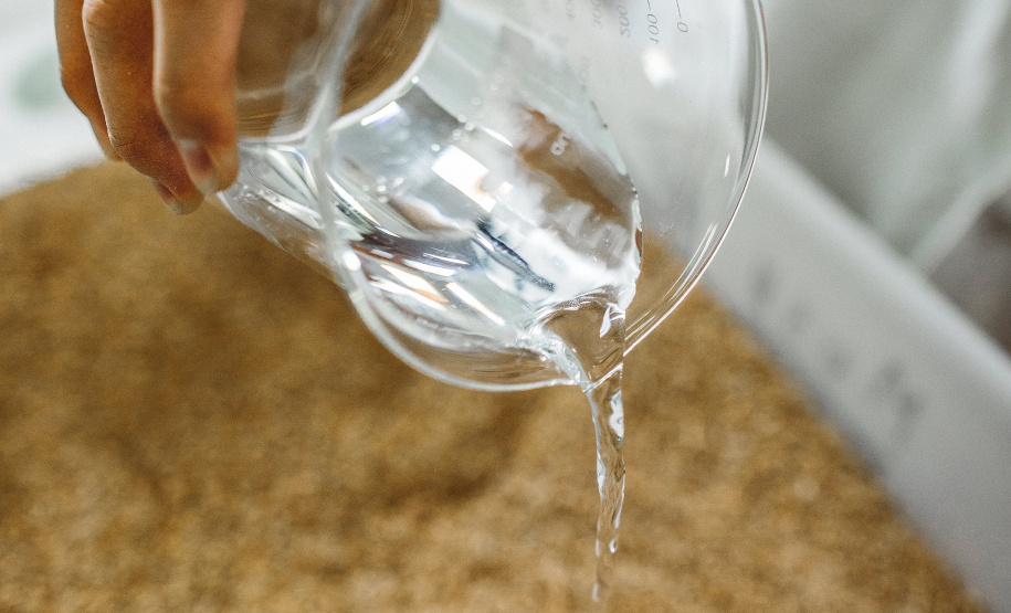 Pesquisadores da Universidade Tecnológica Federal do Paraná desenvolveram um material produzido a partir do crescimento de fungos em resíduos da agroindústria que pode substituir plásticos, poliestireno expandido e outros materiais danosos ao meio ambiente utilizados na indústria de embalagens e na construção civil. Foto: Fundação Araucária