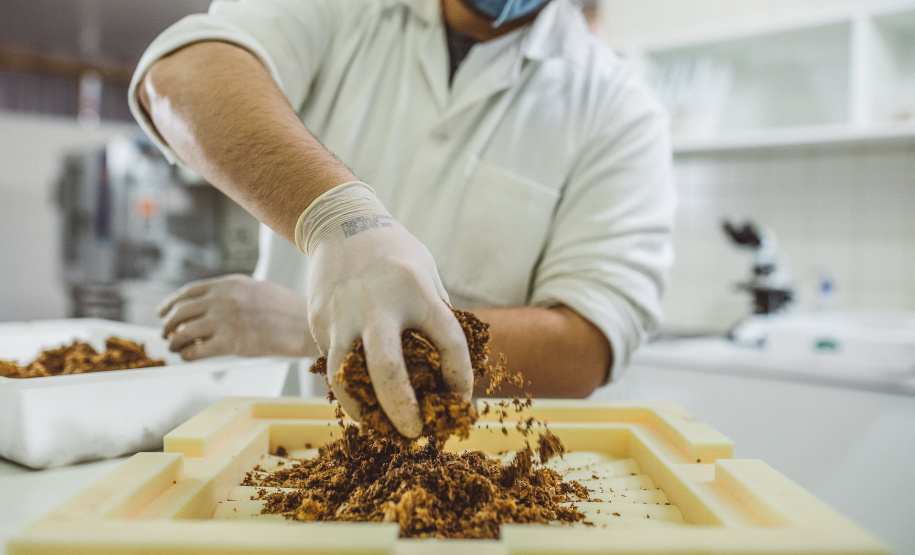 Pesquisadores da Universidade Tecnológica Federal do Paraná desenvolveram um material produzido a partir do crescimento de fungos em resíduos da agroindústria que pode substituir plásticos, poliestireno expandido e outros materiais danosos ao meio ambiente utilizados na indústria de embalagens e na construção civil. Foto: Fundação Araucária