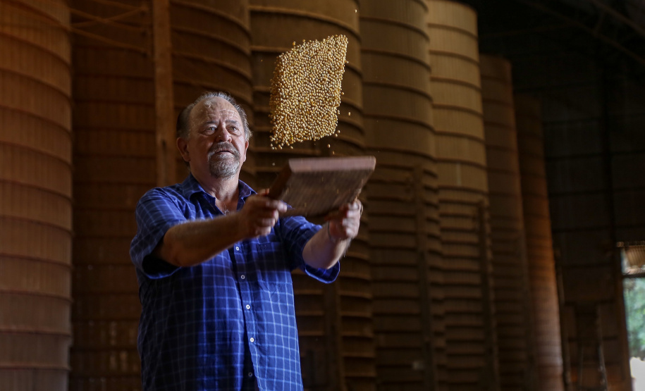 Principal produto do agro paranaense e brasileiro, o cultivo da soja ocupa mais de um quarto de todo o território do Estado e está espalhado por todas as regiões. Na foto, o agricultor Valdomiro Rebellato é um dos paranaenses que apostam no cultivo da oleaginosa desde os anos 1970.   -  Foto: Gilson Abreu/AEN