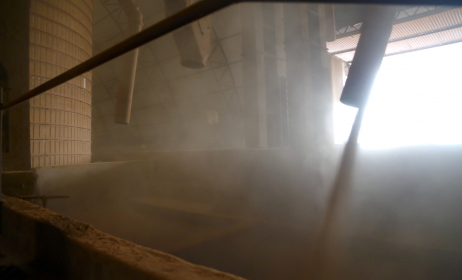 Principal produto do agro paranaense e brasileiro, o cultivo da soja ocupa mais de um quarto de todo o território do Estado e está espalhado por todas as regiões.  -  Foto: Gilson Abreu/AEN