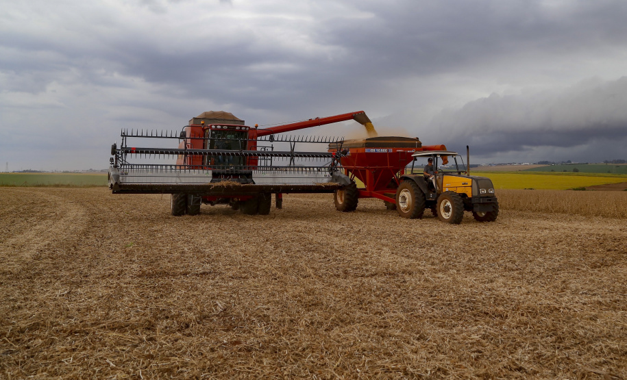 Principal produto do agro paranaense e brasileiro, o cultivo da soja ocupa mais de um quarto de todo o território do Estado e está espalhado por todas as regiões.  -  Foto: Gilson Abreu/AEN