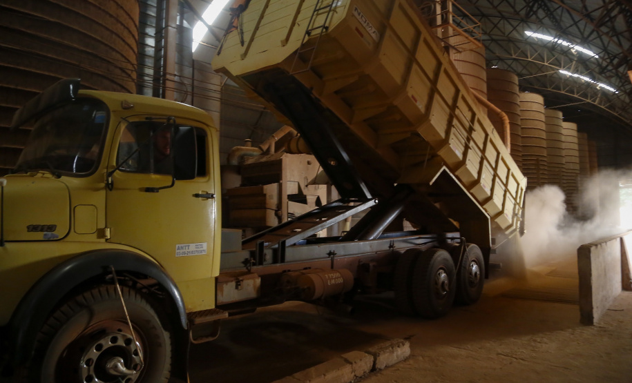 Principal produto do agro paranaense e brasileiro, o cultivo da soja ocupa mais de um quarto de todo o território do Estado e está espalhado por todas as regiões.  -  Foto: Gilson Abreu/AEN