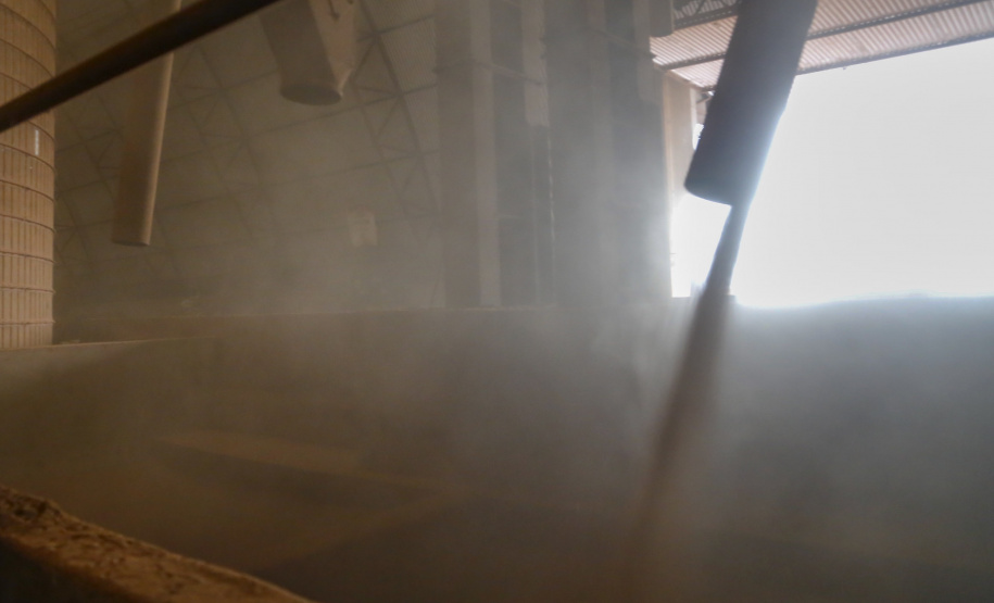 Principal produto do agro paranaense e brasileiro, o cultivo da soja ocupa mais de um quarto de todo o território do Estado e está espalhado por todas as regiões.  -  Foto: Gilson Abreu/AEN