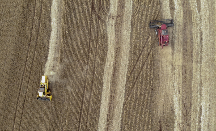 Principal produto do agro paranaense e brasileiro, o cultivo da soja ocupa mais de um quarto de todo o território do Estado e está espalhado por todas as regiões.  -  Foto: Gilson Abreu/AEN