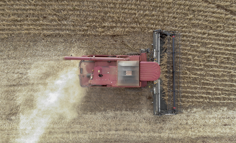 Principal produto do agro paranaense e brasileiro, o cultivo da soja ocupa mais de um quarto de todo o território do Estado e está espalhado por todas as regiões.  -  Foto: Gilson Abreu/AEN