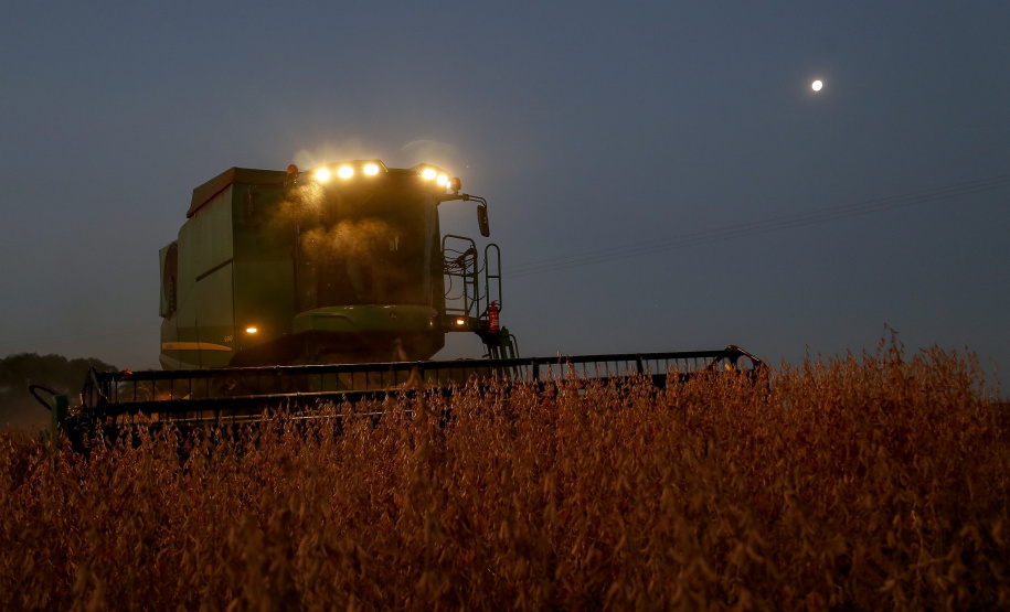 Principal produto do agro paranaense e brasileiro, o cultivo da soja ocupa mais de um quarto de todo o território do Estado e está espalhado por todas as regiões.  -  Foto: Gilson Abreu/AEN