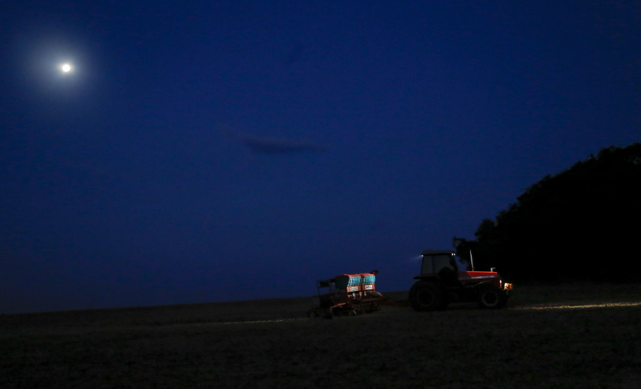 Principal produto do agro paranaense e brasileiro, o cultivo da soja ocupa mais de um quarto de todo o território do Estado e está espalhado por todas as regiões.  -  Foto: Gilson Abreu/AEN