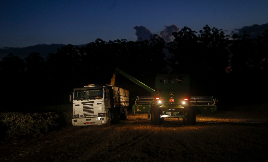Principal produto do agro paranaense e brasileiro, o cultivo da soja ocupa mais de um quarto de todo o território do Estado e está espalhado por todas as regiões.  -  Foto: Gilson Abreu/AEN