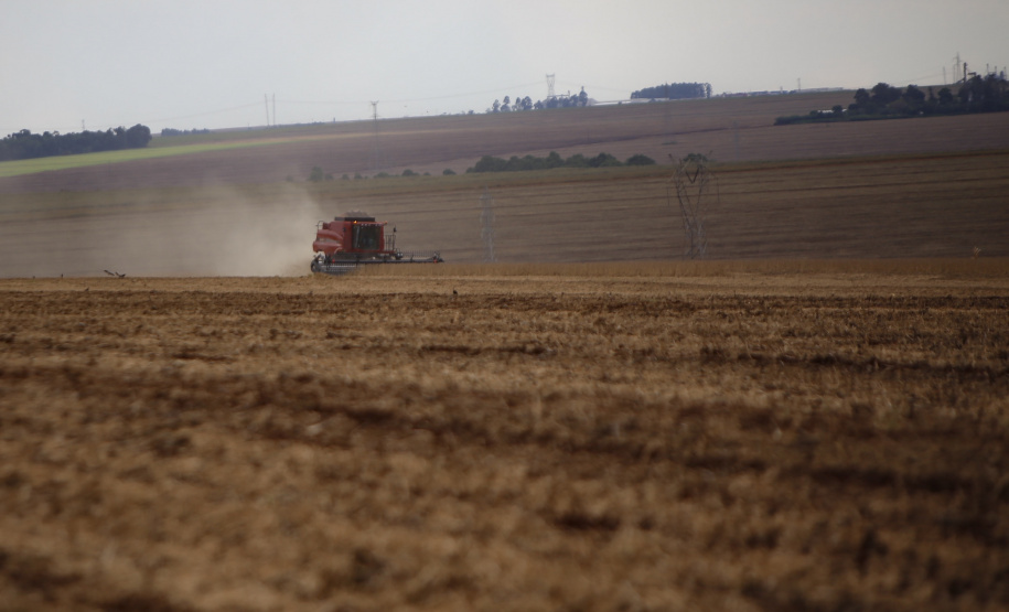 Principal produto do agro paranaense e brasileiro, o cultivo da soja ocupa mais de um quarto de todo o território do Estado e está espalhado por todas as regiões.  -  Foto: Gilson Abreu/AEN