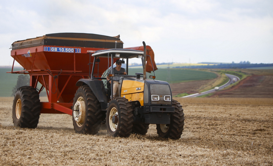 Principal produto do agro paranaense e brasileiro, o cultivo da soja ocupa mais de um quarto de todo o território do Estado e está espalhado por todas as regiões.  -  Foto: Gilson Abreu/AEN