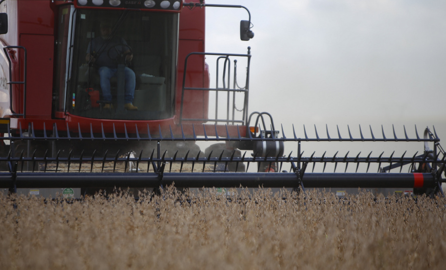 Principal produto do agro paranaense e brasileiro, o cultivo da soja ocupa mais de um quarto de todo o território do Estado e está espalhado por todas as regiões.  -  Foto: Gilson Abreu/AEN