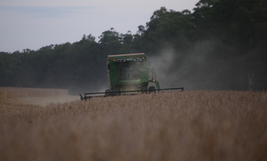 Principal produto do agro paranaense e brasileiro, o cultivo da soja ocupa mais de um quarto de todo o território do Estado e está espalhado por todas as regiões.  -  Foto: Gilson Abreu/AEN