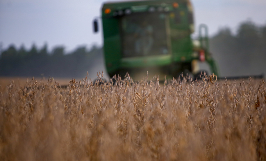 Safra da soja  -  Foto: Gilson Abreu/AEN