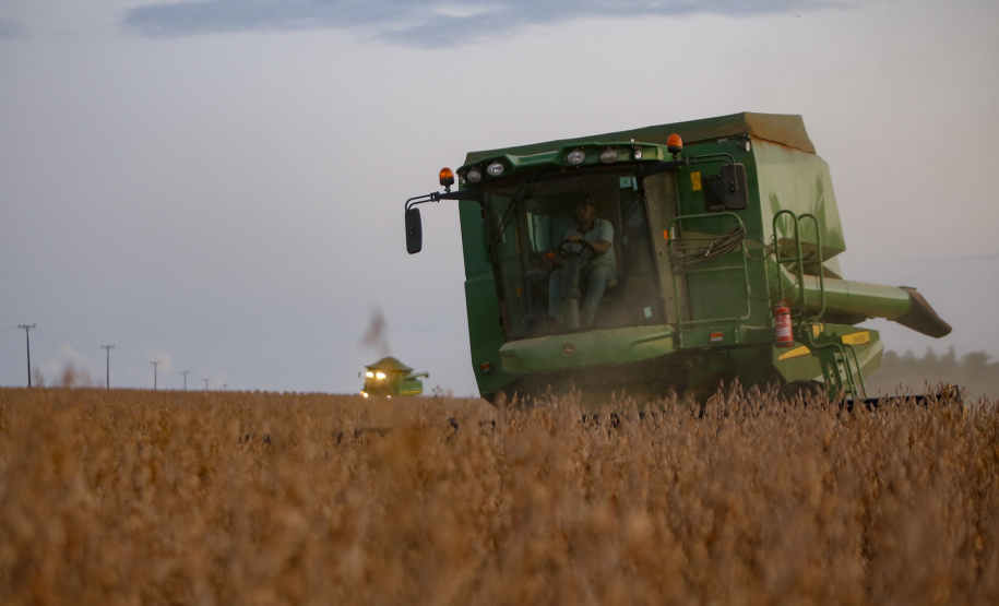 Principal produto do agro paranaense e brasileiro, o cultivo da soja ocupa mais de um quarto de todo o território do Estado e está espalhado por todas as regiões.  -  Foto: Gilson Abreu/AEN