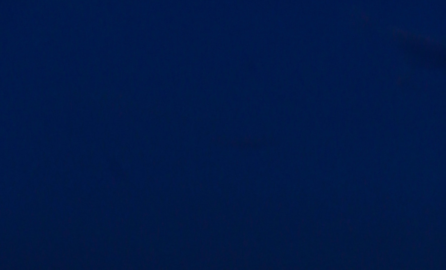 Principal produto do agro paranaense e brasileiro, o cultivo da soja ocupa mais de um quarto de todo o território do Estado e está espalhado por todas as regiões.  -  Foto: Gilson Abreu/AEN