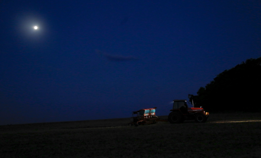Principal produto do agro paranaense e brasileiro, o cultivo da soja ocupa mais de um quarto de todo o território do Estado e está espalhado por todas as regiões.  -  Foto: Gilson Abreu/AEN