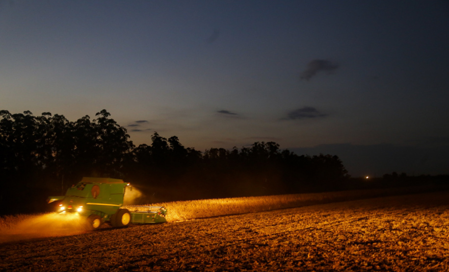 Principal produto do agro paranaense e brasileiro, o cultivo da soja ocupa mais de um quarto de todo o território do Estado e está espalhado por todas as regiões.  -  Foto: Gilson Abreu/AEN