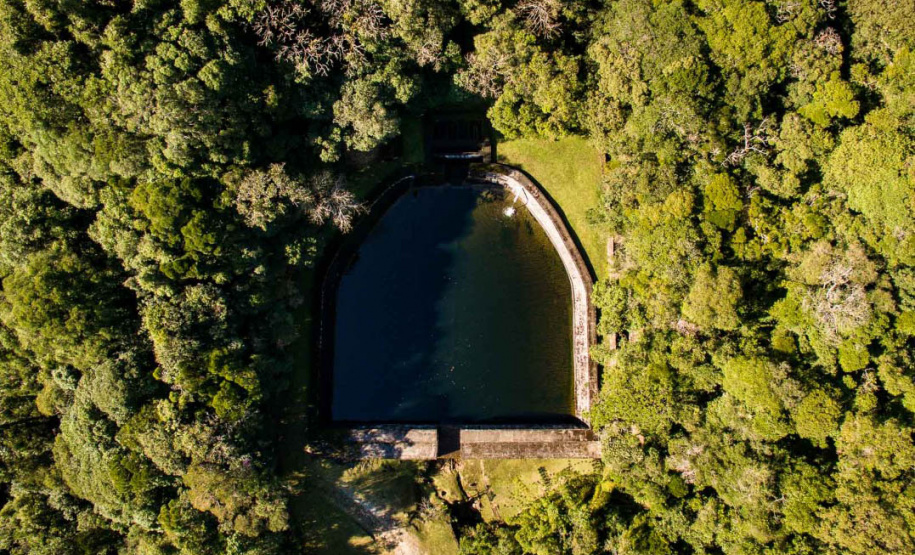Os Mananciais da Serra, em Piraquara, são uma espécie de santuário de libélulas. Preservada pela Sanepar, essa área de Mata Atlântica abriga 113 espécies desse inseto. Os Mananciais são protegidos desde 1904, quando começaram as obras para o primeiro sistema de captação de água para Curitiba. - 16/03/2021 - Foto: Divulgação Sanepar