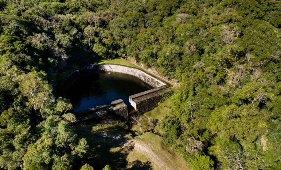 Os Mananciais da Serra, em Piraquara, são uma espécie de santuário de libélulas. Preservada pela Sanepar, essa área de Mata Atlântica abriga 113 espécies desse inseto. Os Mananciais são protegidos desde 1904, quando começaram as obras para o primeiro sistema de captação de água para Curitiba. - 16/03/2021 - Foto: Divulgação Sanepar