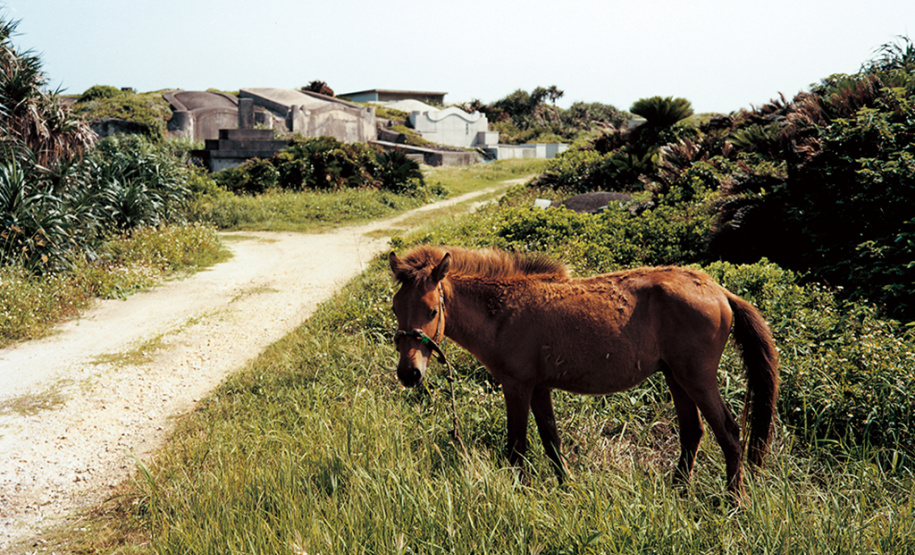 O Museu Oscar Niemeyer (MON) promoverá uma videoconferência com a equipe curatorial e educativa da Japan House São Paulo (JHSP), para o público do programa Arte para Maiores. O encontro, que abordará a exposição "Japonésia", do artista Naoki Ishikawa, será gratuito e terá vagas limitadas para até 60 pessoas. - Foto: Naoki Ishikawa/Divulgação MON