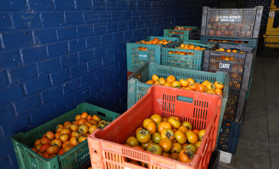 Profissionais de saúde que atuam no enfrentamento à Covid-19 foram surpreendidos com uma ação promovida pela Ceasa Paraná e pelos permissionários da unidade de Curitiba. No momento mais crítico da pandemia no Estado, os atacadistas e produtores se reuniram e arrecadaram 7 mil quilos de frutas para serem entregues em cinco hospitais de Curitiba e da Região Metropolitana e em nove Unidades de Pronto Atendimento (UPAs) da Capital. Foto: Ari Dias/AEN