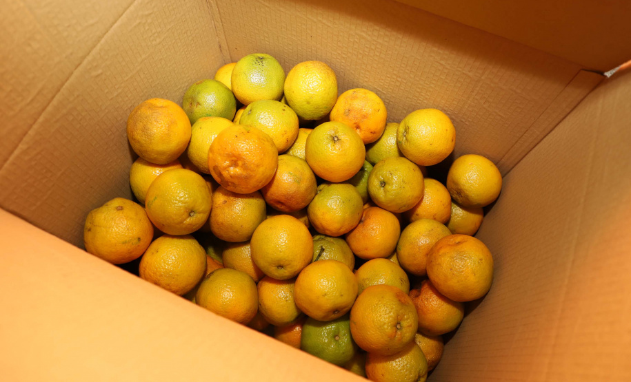 Profissionais de saúde que atuam no enfrentamento à Covid-19 foram surpreendidos com uma ação promovida pela Ceasa Paraná e pelos permissionários da unidade de Curitiba. No momento mais crítico da pandemia no Estado, os atacadistas e produtores se reuniram e arrecadaram 7 mil quilos de frutas para serem entregues em cinco hospitais de Curitiba e da Região Metropolitana e em nove Unidades de Pronto Atendimento (UPAs) da Capital. Foto: Ari Dias/AEN