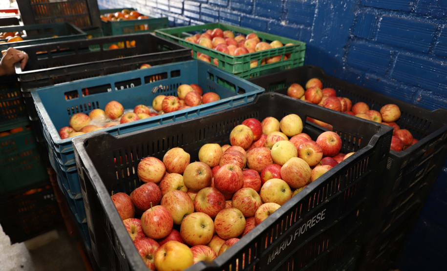 Profissionais de saúde que atuam no enfrentamento à Covid-19 foram surpreendidos com uma ação promovida pela Ceasa Paraná e pelos permissionários da unidade de Curitiba. No momento mais crítico da pandemia no Estado, os atacadistas e produtores se reuniram e arrecadaram 7 mil quilos de frutas para serem entregues em cinco hospitais de Curitiba e da Região Metropolitana e em nove Unidades de Pronto Atendimento (UPAs) da Capital. Foto: Ari Dias/AEN