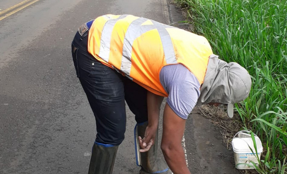 O Departamento de Estradas de Rodagem do Paraná (DER/PR) deu início à obra de adequação de trechos com curvas acentuadas da rodovia PR-562, entre o município de Coronel Vivida e o distrito de Vista Alegre, na região Sudoeste do estado. - Curitiba, 17/03/2021 - Foto: Divulgação DER