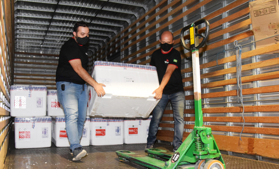 O Governo do Estado começa a distribuição da uma nova remessa de vacinas contra o coronavírus nesta quinta-feira (18). - Foto: Américo Antonio/SESA