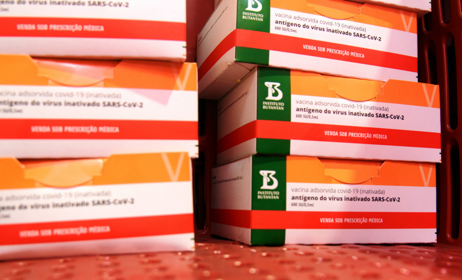 O Governo do Estado começa a distribuição da uma nova remessa de vacinas contra o coronavírus nesta quinta-feira (18). - Foto: Américo Antonio/SESA